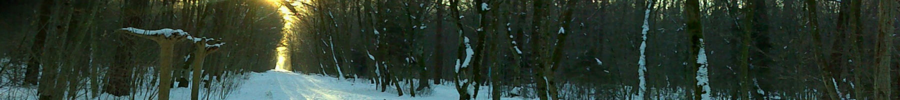 Sharky's Blog Sharky's Blog