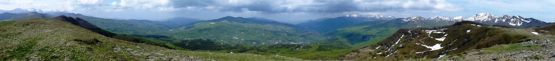 Sharky's Blog Sharky's Blog