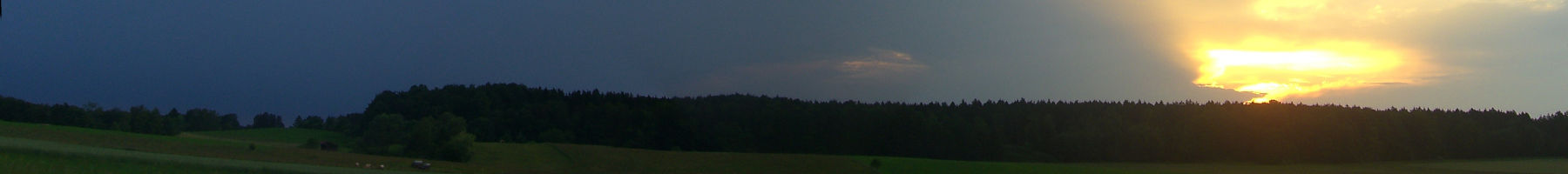 Sharky's Blog Sharky's Blog