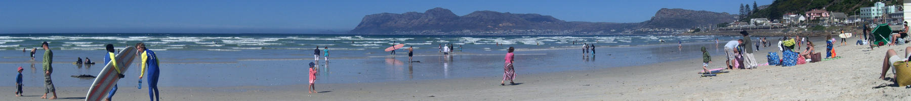 Sharky's Blog Sharky's Blog